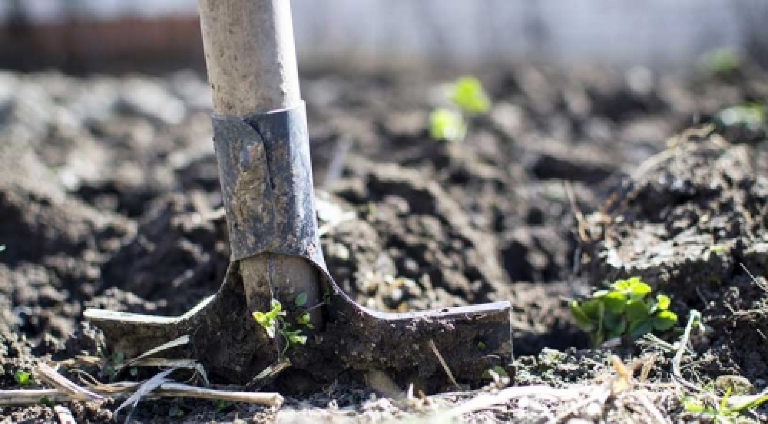 psr-abruzzo-agricoltura.jpg