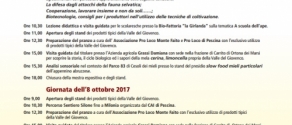 Milonia-2017-tra-Mele-Miele-ed-Orsi-a-Ortona-dei-Marsi-Programma.jpg