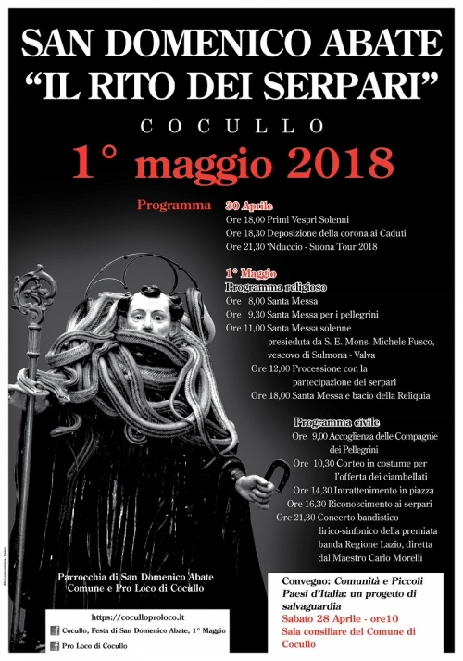 Festa-San-Domenico-Serpari-Cocullo-2018.jpg