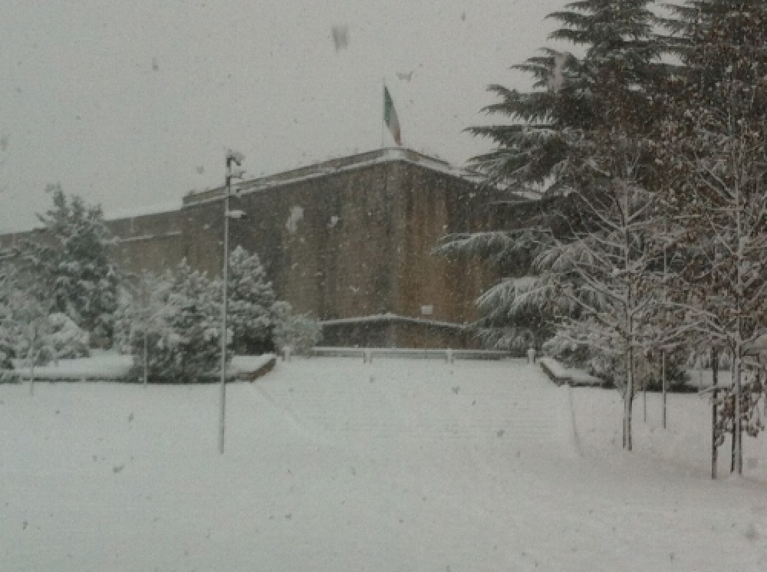 NEVE3.jpg