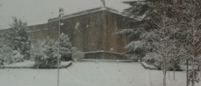 NEVE3.jpg