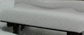 NEVE2.jpg
