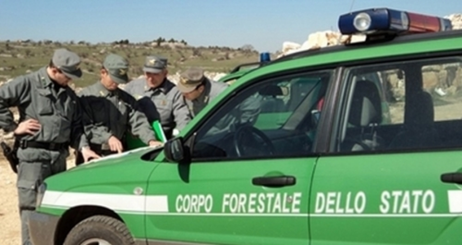 corpoforestaledellostatogruppo.jpg