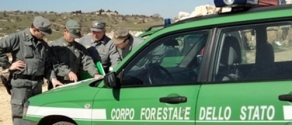 corpoforestaledellostatogruppo.jpg