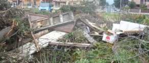 focaraccio 1.JPG