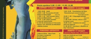 giornata dell'arte.jpg