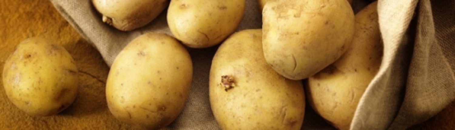 patata.jpg