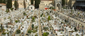 Cimitero_della_misericordia_di_viareggio_14.JPG