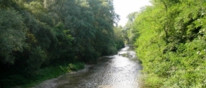 Fiume Liri.JPG