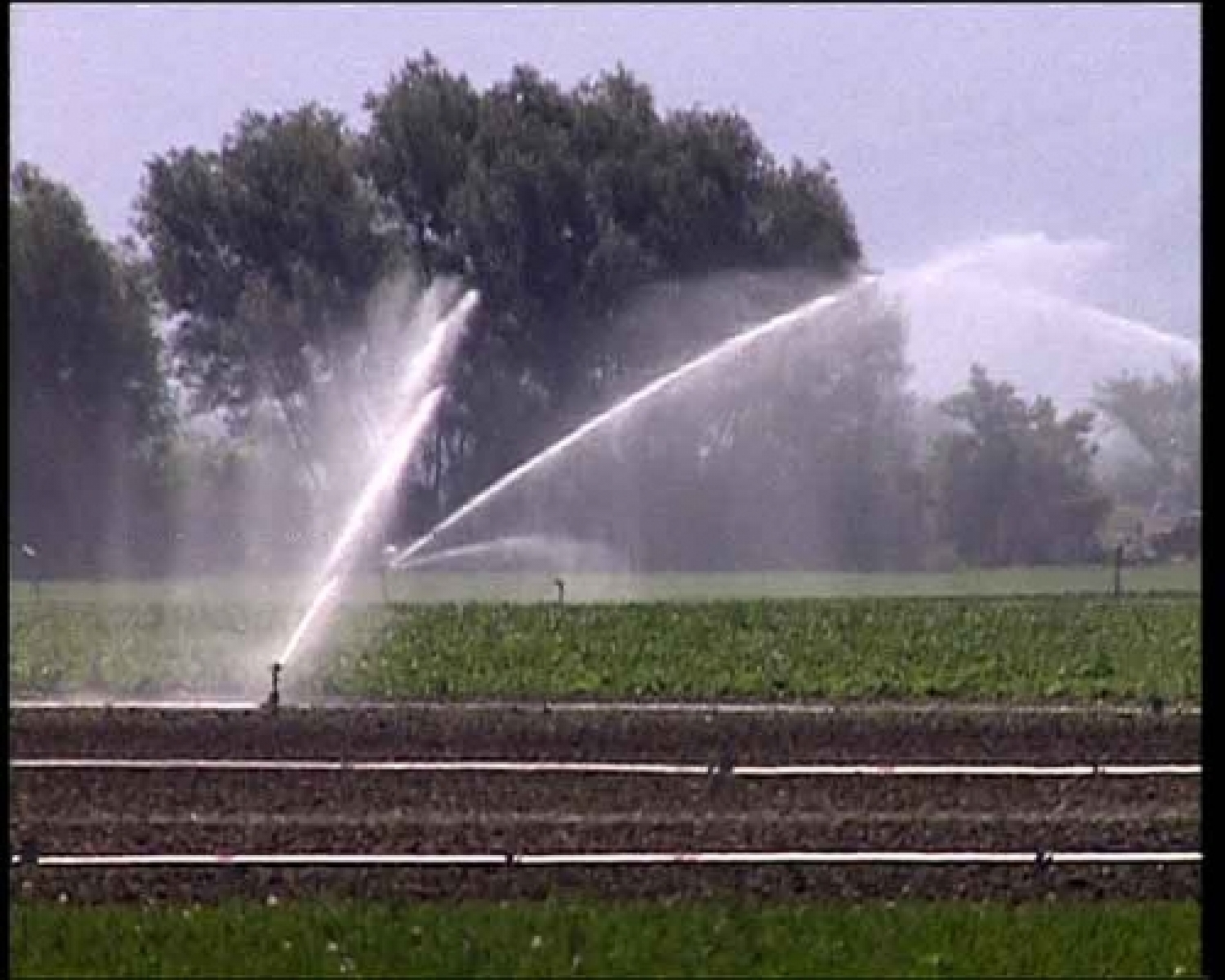 irrigazione-fucino.jpg