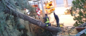 girone ap.jpg