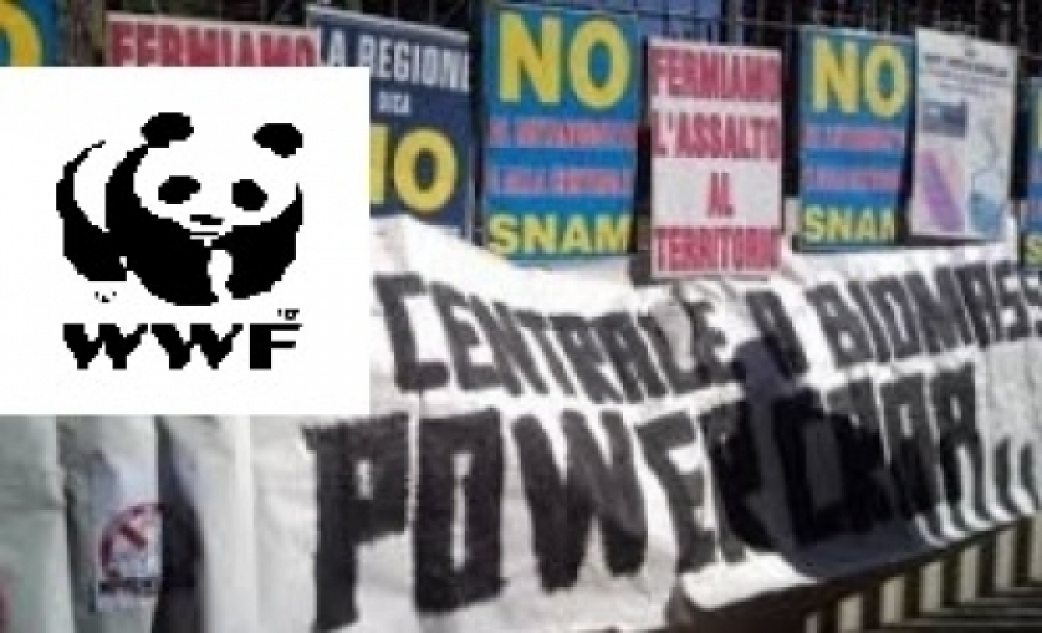 no powercrop wwf.jpg