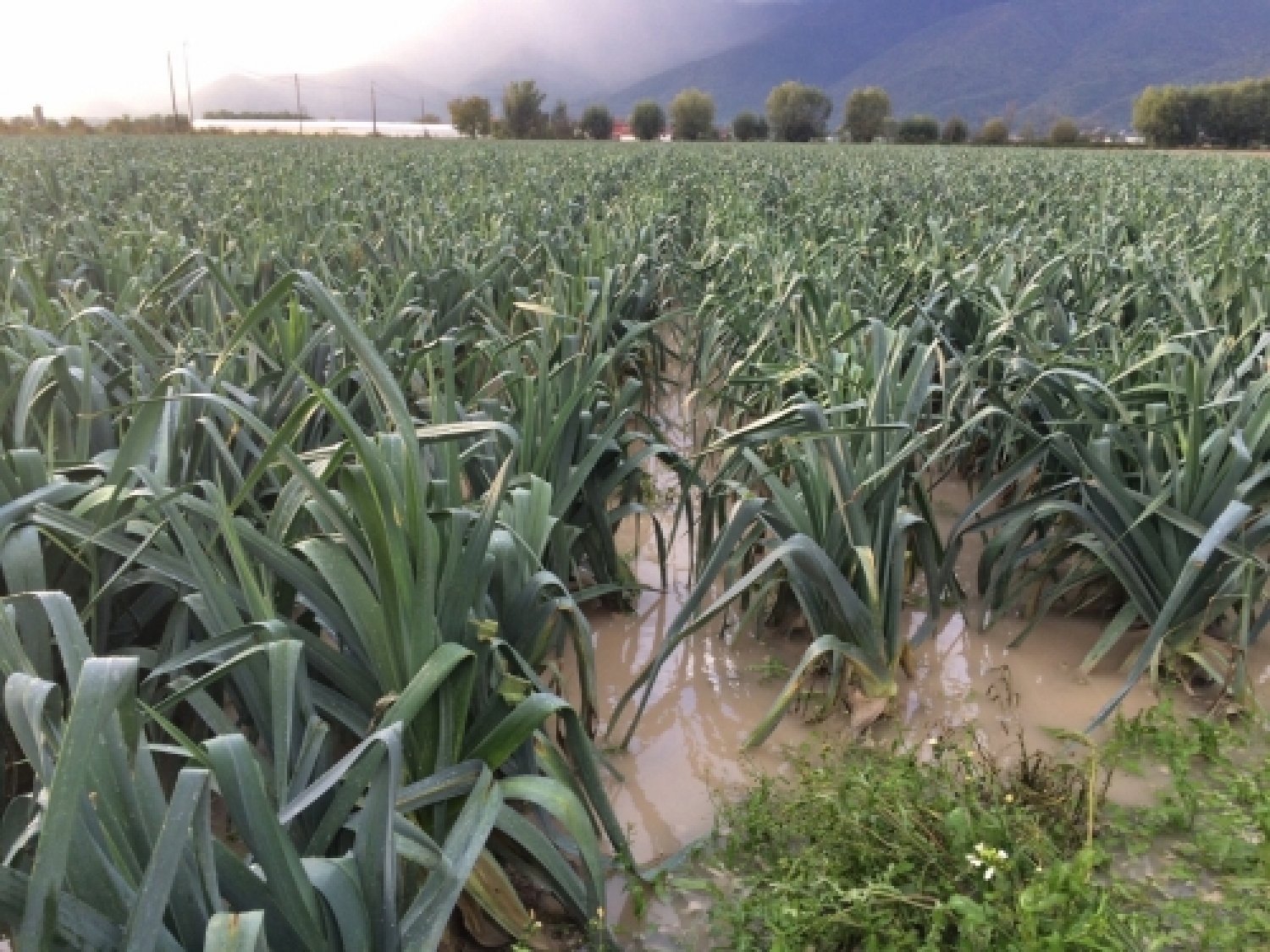 foto alluvione 3.jpg