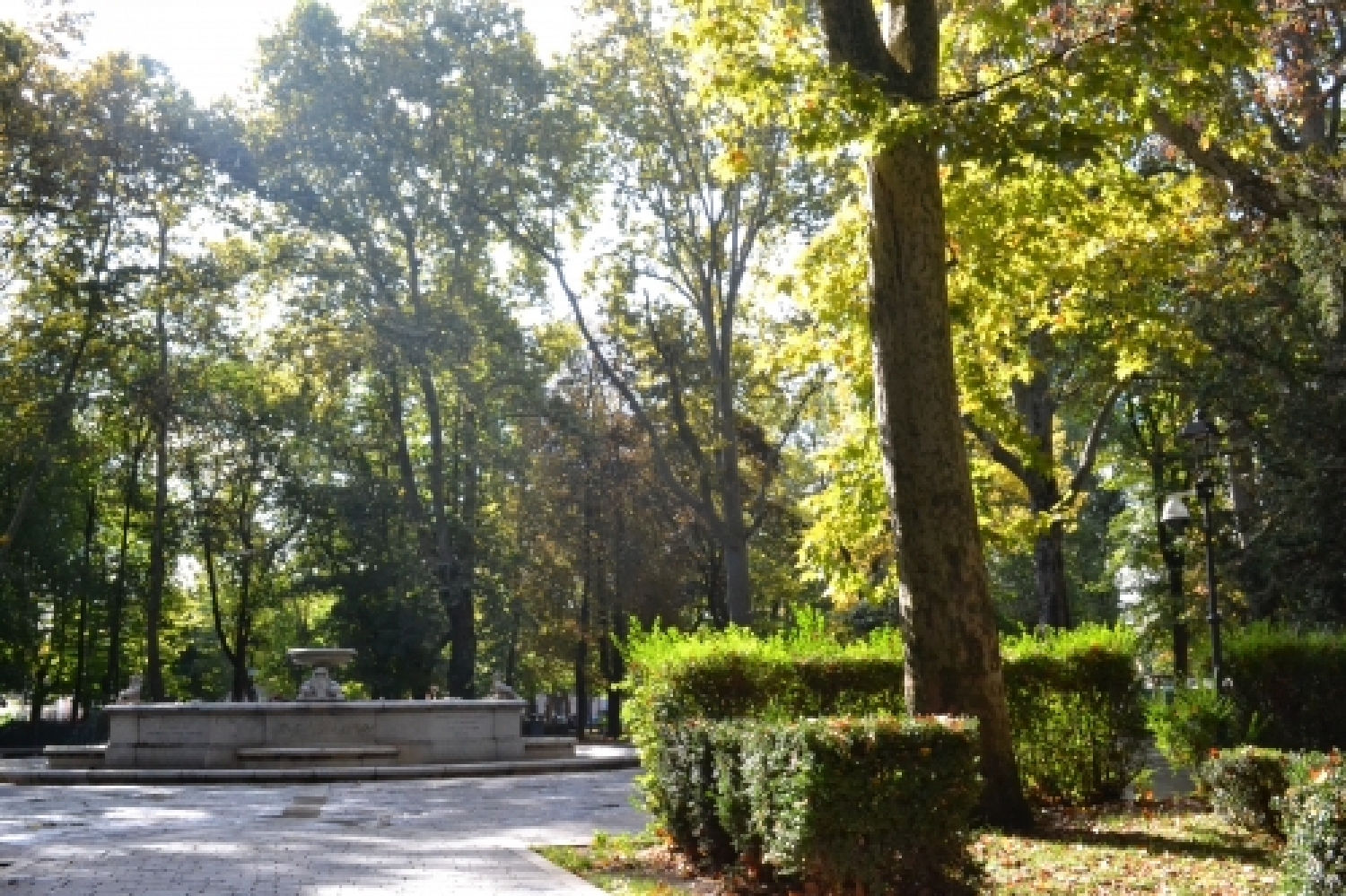DSC_0152.JPG