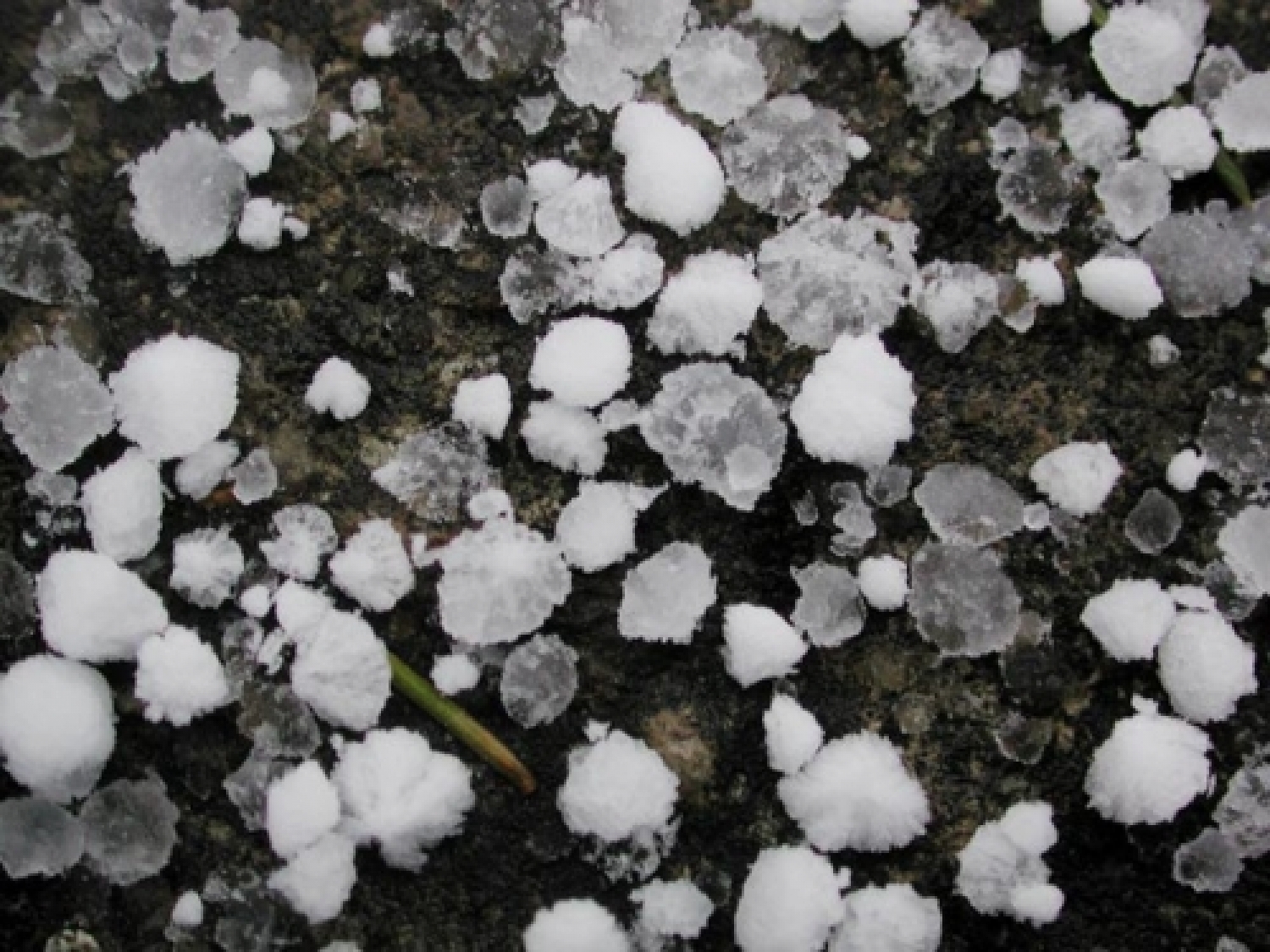 03-31graupel.jpg