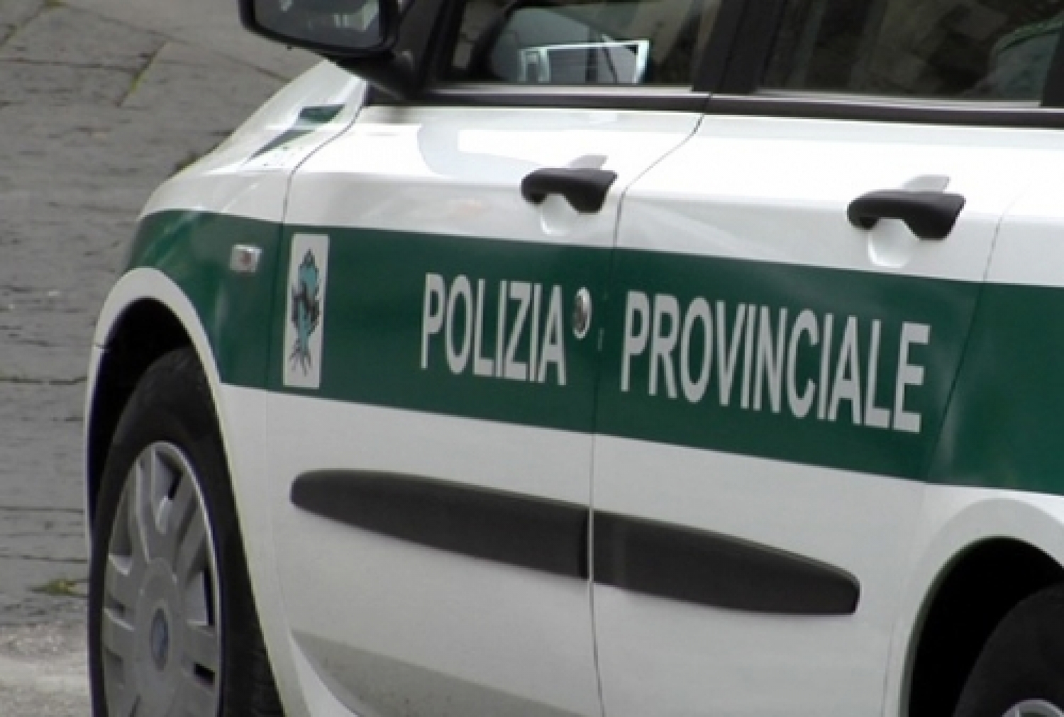 polizia provinciale.jpg