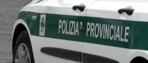 polizia provinciale.jpg