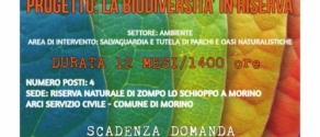 locandina servizio civile 2016.jpg