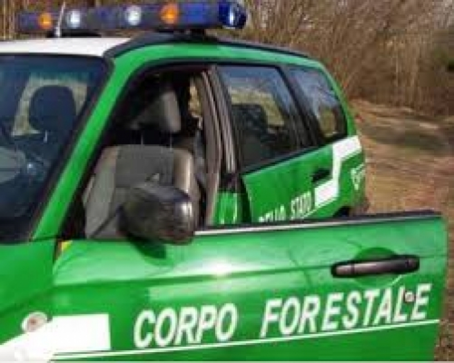 corpo forestale.jpg