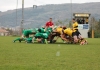 rugby.JPG