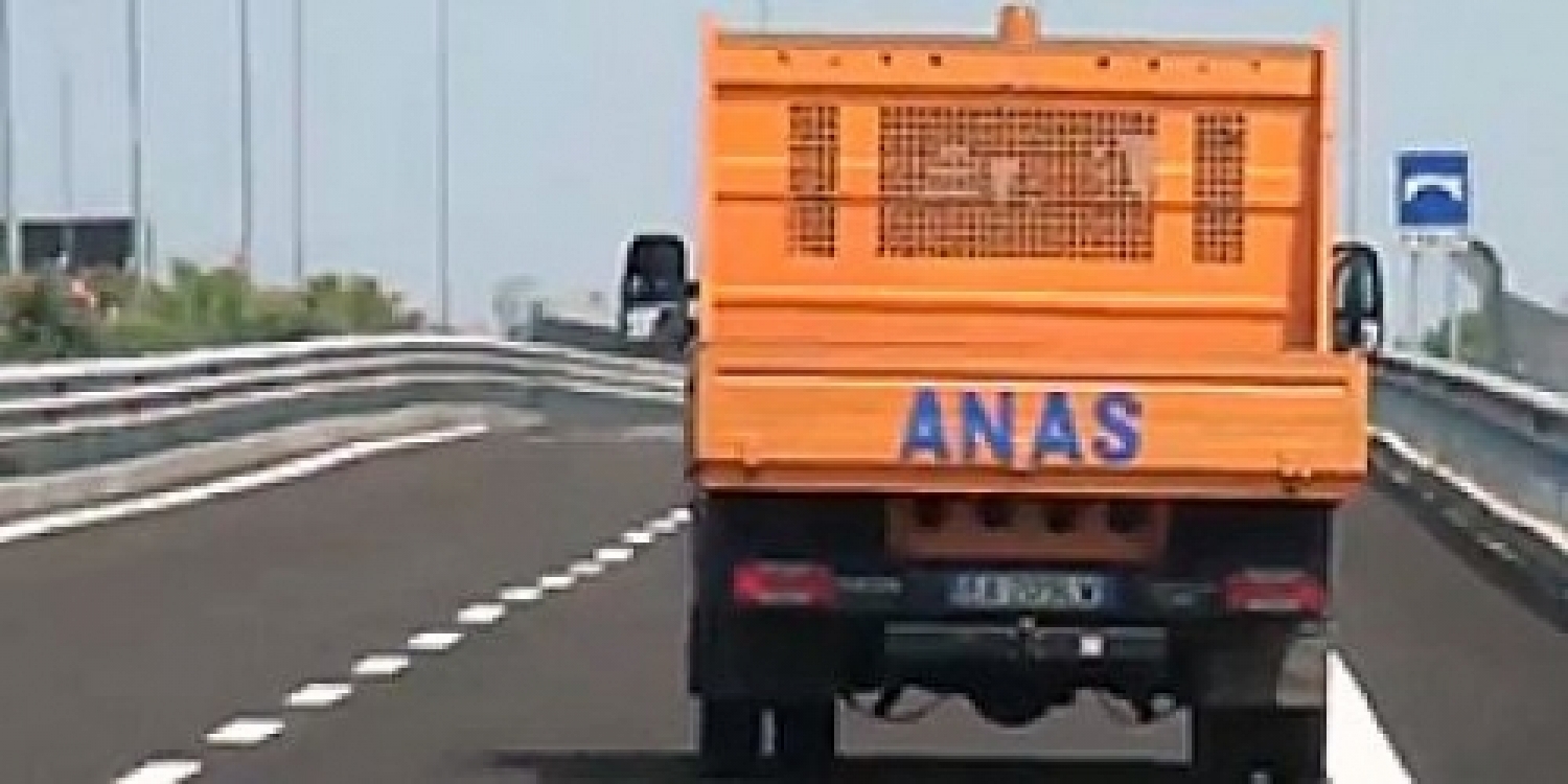 anas.jpg