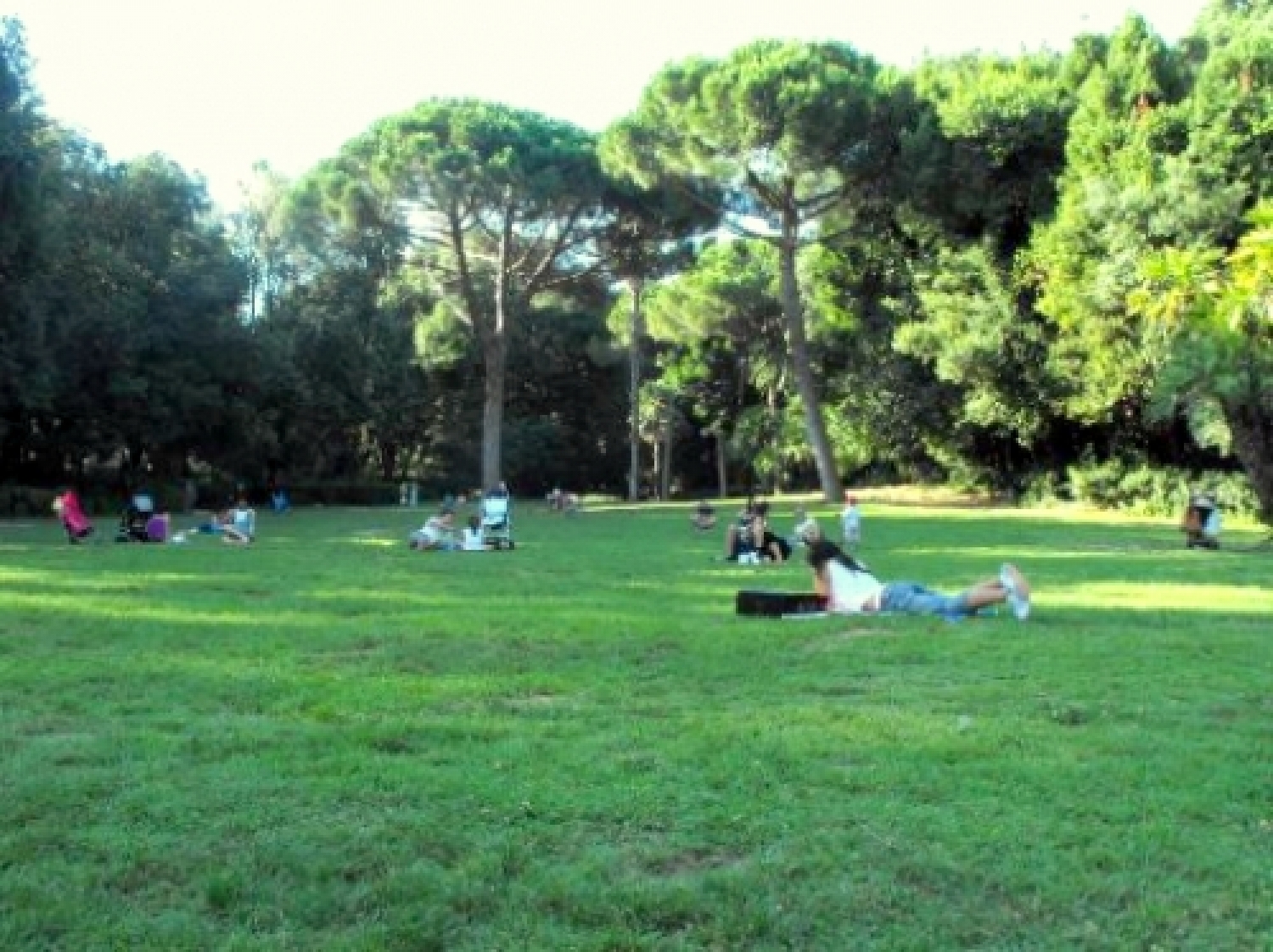 capodimonte3.jpg